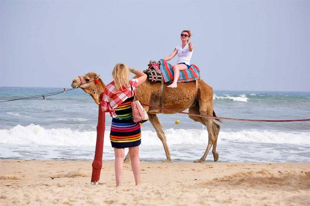 Aqi Venus 3* Hammamet